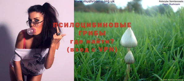 mdma Краснослободск